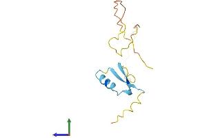 Protein Structure (PS) image for Ripply2 Homolog (RIPPLY2) (AA 1-128) protein (His tag) (ABIN7551401)