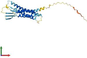 Protein Structure (PS) image for Claudin 17 (CLDN17) (AA 1-224) protein (His tag) (ABIN7558994)