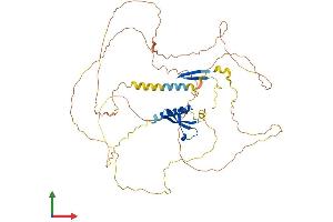 Protein Structure (PS) image for Chromobox Homolog 2 (CBX2) (AA 1-532) protein (His tag) (ABIN7553136)