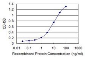 Detection limit for recombinant GST tagged PLA2G16 is 0. (PLA2G16 抗体  (AA 1-162))
