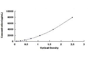 Typical standard curve (BSP ELISA 试剂盒)