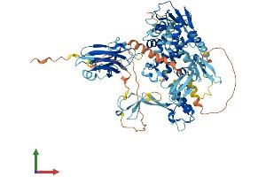 Protein Structure (PS) image for SMAD Specific E3 Ubiquitin Protein Ligase 2 (SMURF2) (AA 1-748) protein (His tag) (ABIN7555579)