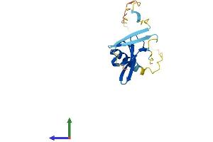 Protein Structure (PS) image for Chromobox Homolog 7 (CBX7) (AA 1-158) protein (His tag) (ABIN7559868)