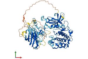 AlphaFold protein structure predicition of Human Recombinant PRKCH Protein, UniprotID P24723