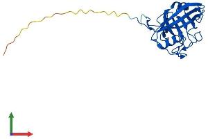Protein Structure (PS) image for Peptidylprolyl Isomerase C (Cyclophilin C) (PPIC) (AA 1-212) protein (His tag) (ABIN7550884)