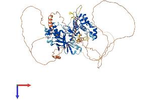 AlphaFold protein structure predicition of Mouse Recombinant Hunk Protein, UniprotID O88866 (HUNK Protein (AA 1-714) (His tag))
