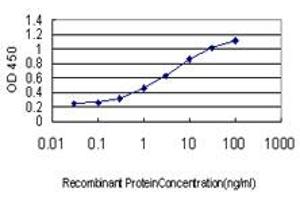 Detection limit for recombinant GST tagged LEP is approximately 0. (Leptin 抗体  (AA 22-167))