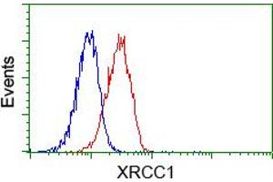 Flow cytometric analysis of Jurkat cells, using anti-XRCC1 antibody (ABIN2453795), (Red) compared to a nonspecific negative control antibody (TA50011) (Blue). (XRCC1 抗体)