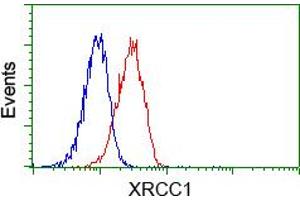 Flow cytometric analysis of Jurkat cells, using anti-XRCC1 antibody (ABIN2453795), (Red) compared to a nonspecific negative control antibody (TA50011) (Blue).