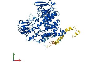 AlphaFold protein structure predicition of Human Recombinant FMO4 Protein, UniprotID P31512