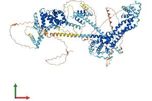 AlphaFold protein structure predicition of Mouse Recombinant Diaph3 Protein, UniprotID Q9Z207