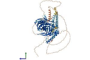 Protein Structure (PS) image for Oxysterol Binding Protein-Like 7 (OSBPL7) (AA 1-842) protein (His tag) (ABIN7550560)