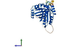 Protein Structure (PS) image for Glioblastoma Amplified Sequence (GBAS) (AA 1-286) protein (His tag) (ABIN7549858)
