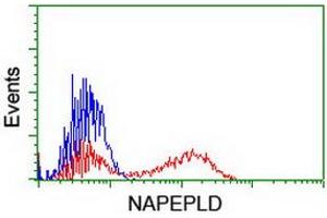 HEK293T cells transfected with either RC209877 overexpress plasmid (Red) or empty vector control plasmid (Blue) were immunostained by anti-NAPEPLD antibody (ABIN2455243), and then analyzed by flow cytometry. (NAPEPLD 抗体)