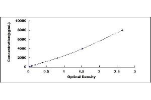 Typical standard curve (SERPINB10 ELISA 试剂盒)