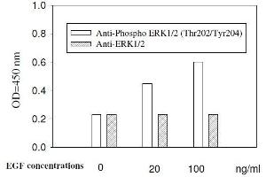 Image no. 4 for ERK1/2, JNK, p38 MAPK ELISA Kit (ABIN1981832)