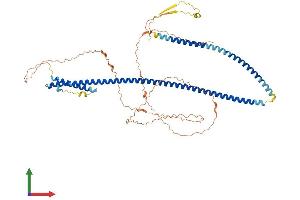 Protein Structure (PS) image for Premature Ovarian Failure, 1B (POF1B) (AA 1-587) protein (His tag) (ABIN7559579)