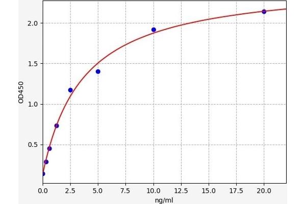 slc25a13 ELISA 试剂盒