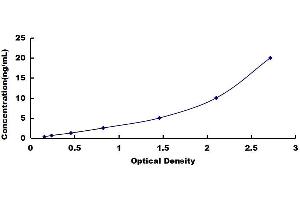 Typical standard curve