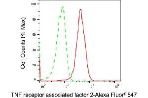Flow cytometric analysis of TNF receptor associated factor 2 expression in HAP-1 cells using TNF receptor associated factor 2 antibody (ABIN7800563), 1:2,000). (Recombinant TRAF2 抗体)