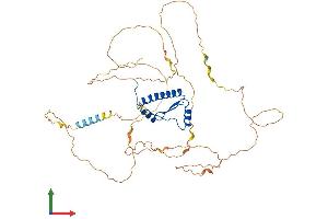 Protein Structure (PS) image for Myocyte Enhancer Factor 2C (MEF2C) (AA 1-473) protein (His tag) (ABIN7554518)