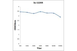 Antigen: 0. (Bcl-2 抗体  (pThr129))