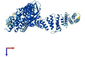Protein Structure (PS) image for Tetratricopeptide Repeat Domain 27 (TTC27) (AA 1-843) protein (His tag) (ABIN7544906)