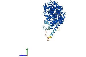 Protein Structure (PS) image for Cytochrome P450, Family 4, Subfamily V, Polypeptide 2 (CYP4V2) (AA 1-525) protein (His tag) (ABIN7553537)