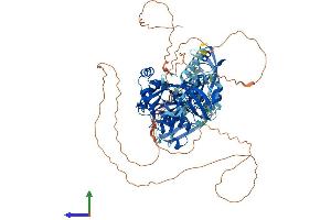 Protein Structure (PS) image for Discs, Large Homolog 2 (DLG2) (AA 1-852) protein (His tag) (ABIN7564813)