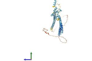 AlphaFold protein structure predicition of Human Recombinant LUC7L Protein, UniprotID Q9NQ29
