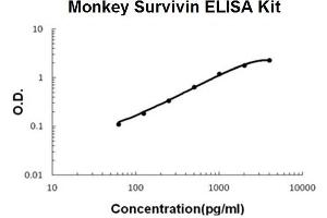 Monkey Primate Survivin PicoKine ELISA Kit standard curve (Survivin ELISA 试剂盒)