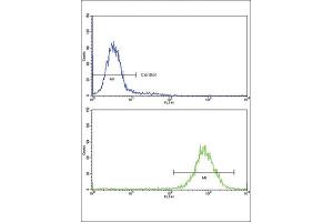 Flow Cytometry (FACS) image for anti-Malate Dehydrogenase 2, NAD (Mitochondrial) (MDH2) antibody (ABIN3001706) (MDH2 抗体)