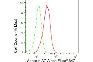Flow cytometric analysis of Annexin A7 expression in HepG2 cells using Annexin A7 antibody (ABIN7797625), 1:2,000).