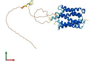 AlphaFold protein structure predicition of Mouse Recombinant Faim2 Protein, UniprotID Q8K097