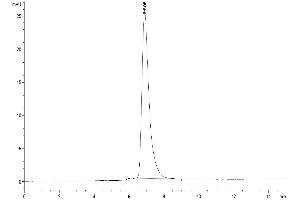The purity of Human CD27 is greater than 95 % as determined by SEC-HPLC.