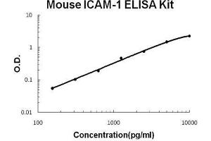 Mouse ICAM-1 PicoKine ELISA Kit standard curve (ICAM1 ELISA 试剂盒)