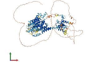 Protein Structure (PS) image for Solute Carrier Family 26 (Sulfate Transporter), Member 8 (SLC26A8) (AA 1-970) protein (His tag) (ABIN7555401)