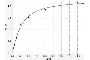 ELISA image for Collagen, Type I, alpha 1 (COL1A1) ELISA Kit (ABIN6965931)