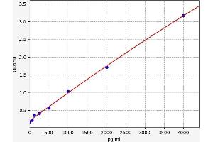 Growth Arrest-Specific 6 (GAS6) ELISA Kit