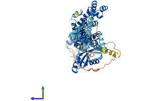 Protein Structure (PS) image for Negative Regulator of Ubiquitin-Like Proteins 1 (NUB1) (AA 1-615) protein (His tag) (ABIN7549933)