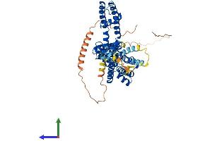 Protein Structure (PS) image for Potassium Voltage-Gated Channel, Shaker-Related Subfamily, Member 1 (KCNA1) (AA 1-495) protein (His tag) (ABIN7554232)