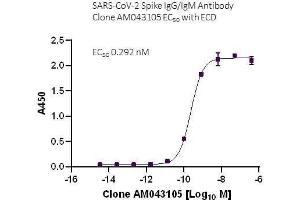 SARS-CoV-2 Spike IgG/IgM Antibody (AM043105) tested by ELISA using SARS Spike protein ECD. (Recombinant SARS-CoV-2 Spike IgG/IgM 抗体)