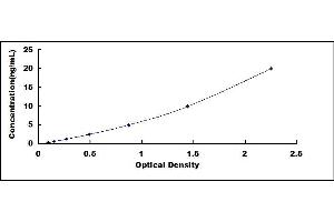 Typical standard curve (Emilin1 ELISA 试剂盒)