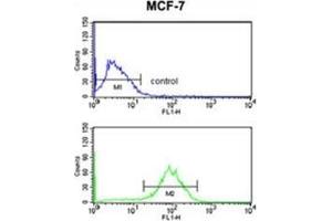 Flow cytometry analysis of MCF-7 cells using Destrin Antibody (bottom histogram) compared to a negative control cell (top histogram). (Destrin 抗体  (Middle Region))