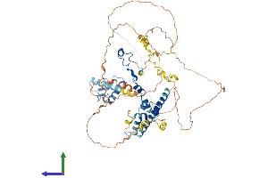 Protein Structure (PS) image for RAD21 Homolog (RAD21) (AA 1-631) protein (His tag) (ABIN7555146)