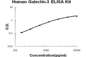 Human Galectin-3/LGALS3 PicoKine ELISA Kit standard curve (Galectin 3 ELISA 试剂盒)