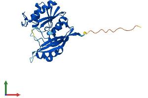 AlphaFold protein structure predicition of Mouse Recombinant Dph6 Protein, UniprotID Q9CQ28