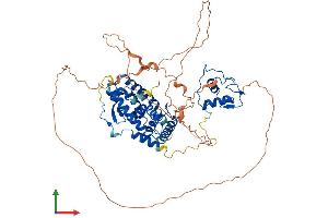 AlphaFold protein structure predicition of Human Recombinant NR4A1 Protein, UniprotID P22736