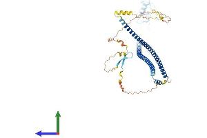 AlphaFold protein structure predicition of Mouse Recombinant Traip Protein, UniprotID Q8VIG6