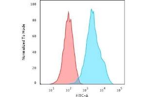 Flow Cytometric Analysis of Raji cells using CD20 Mouse Recombinant Monoclonal Antibody (rIGEL/773) followed by Goat anti-Mouse IgG-CF488 (Blue); Isotype Control (Red). (Recombinant CD20 抗体)